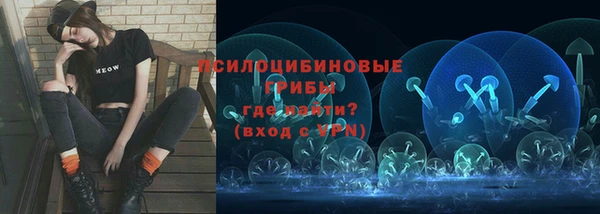а пвп мука Алзамай
