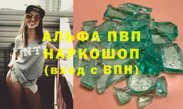 стафф Алексин