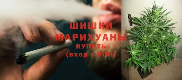 а пвп мука Алзамай
