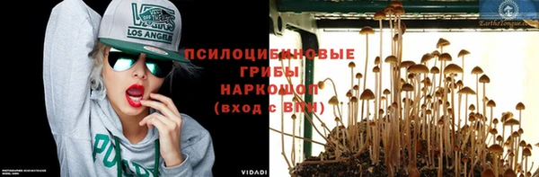 стафф Алексин
